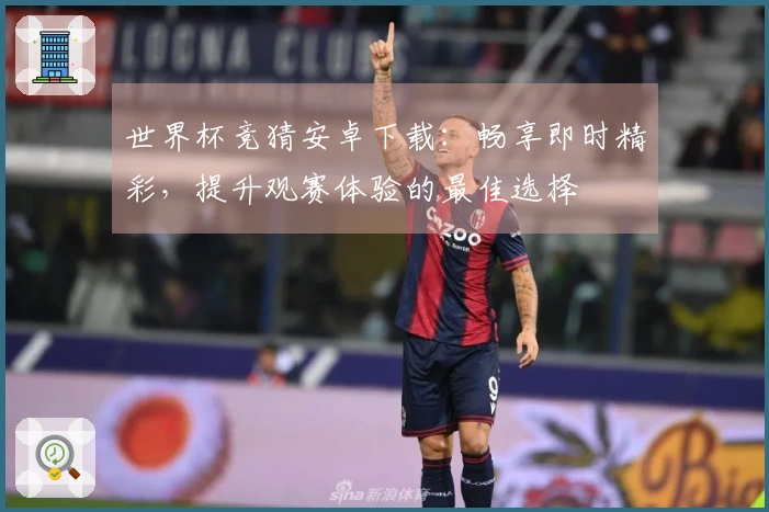 世界杯竞猜安卓下载：畅享即时精彩，提升观赛体验的最佳选择