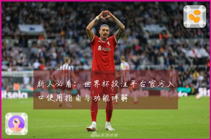 新人必看：世界杯投注平台官方入口使用指南与功能详解