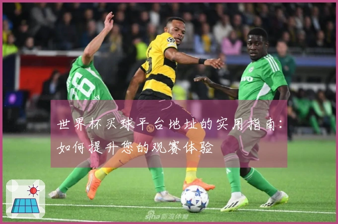 世界杯买球平台地址的实用指南：如何提升您的观赛体验