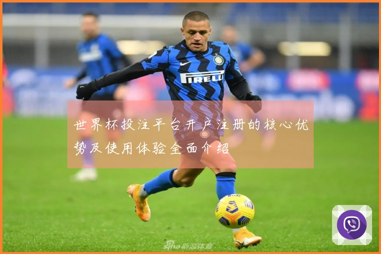 世界杯投注平台开户注册的核心优势及使用体验全面介绍