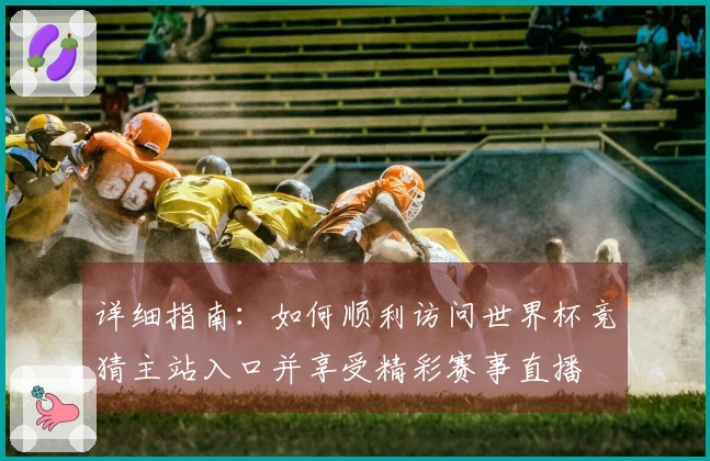 详细指南：如何顺利访问世界杯竞猜主站入口并享受精彩赛事直播