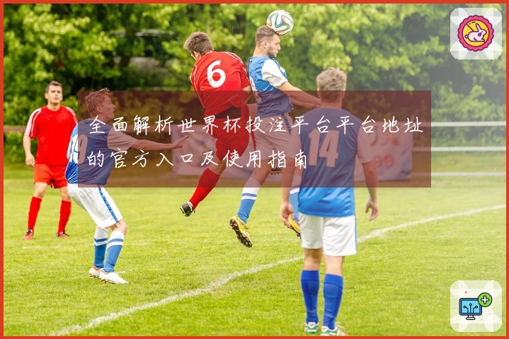 全面解析世界杯投注平台平台地址的官方入口及使用指南
