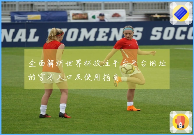 全面解析世界杯投注平台平台地址的官方入口及使用指南