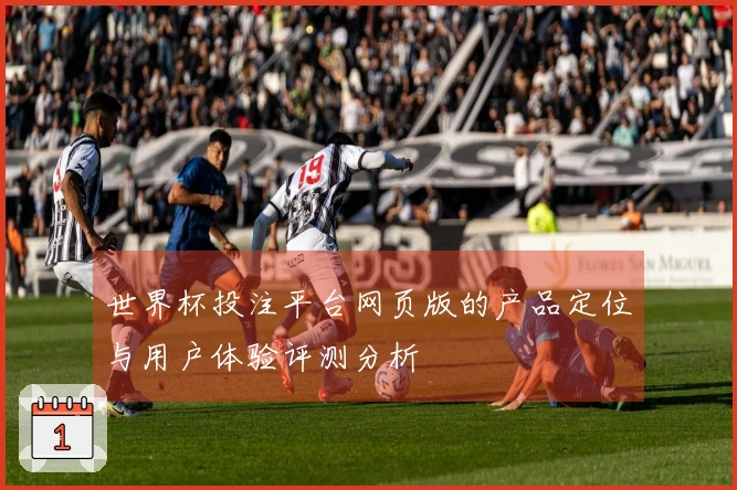 世界杯投注平台网页版的产品定位与用户体验评测分析