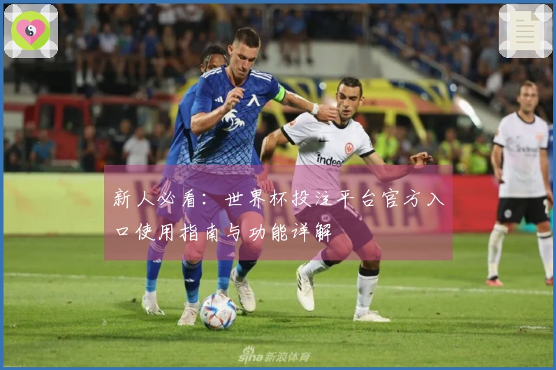 新人必看：世界杯投注平台官方入口使用指南与功能详解